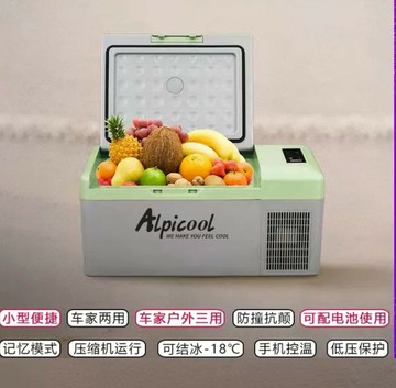 【台灣公司 可開發票】冰虎車載冰箱壓縮機制冷12V24V大貨車小冰柜冷凍冷藏110V220V通用