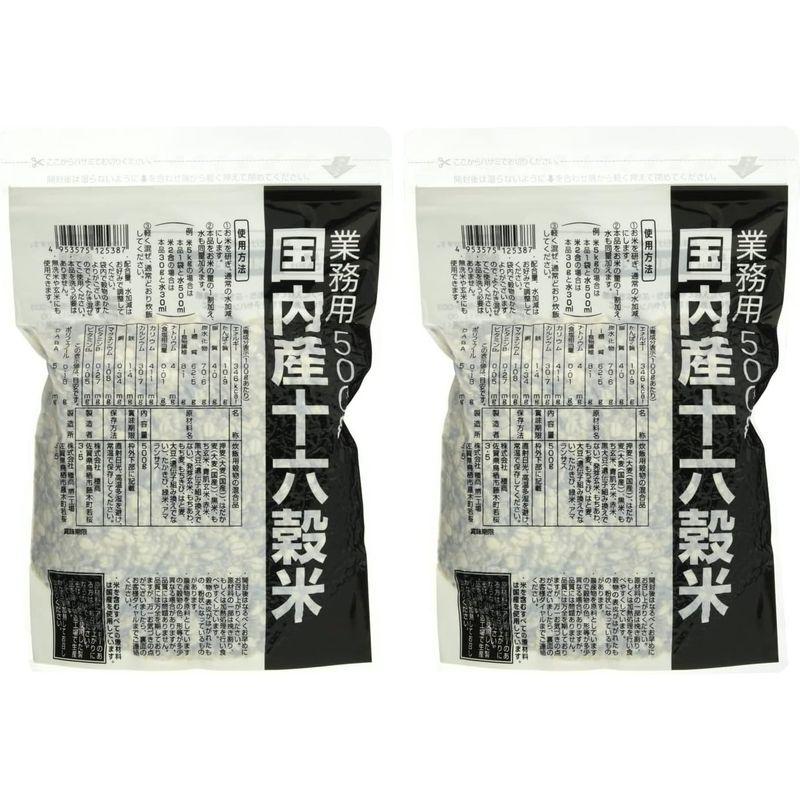 種商 国内産十六穀米 業務用 500g×2袋