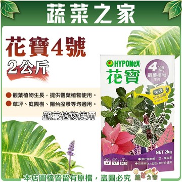 【蔬菜之家002-B02】花寶4號2公斤(25-5-20)