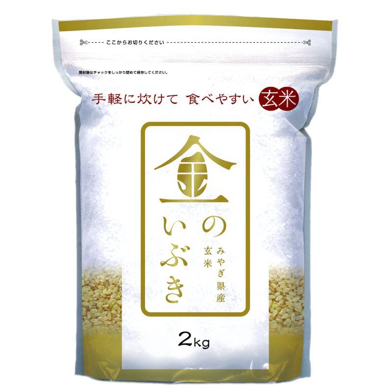 玄米 宮城県産 金のいぶき 2kg 令和4年産 令和4年産