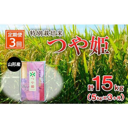 ふるさと納税 特別栽培米 つや姫 5kg×3ヶ月(計15kg) FY23-748 山形県山形市