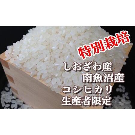 ふるさと納税 特別栽培 生産者限定  南魚沼しおざわ産コシヒカリ 新潟県南魚沼市