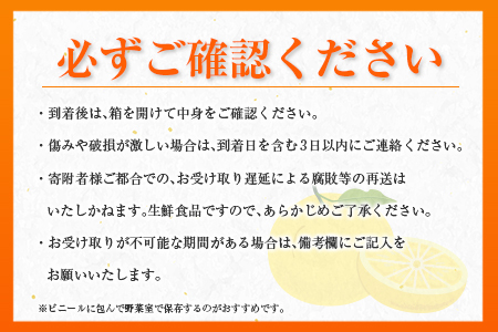 ≪数量限定≫宮浦産蔵出し日向夏(計2.5kg以上)　フルーツ　果物　柑橘　みかん　国産 BA53-23