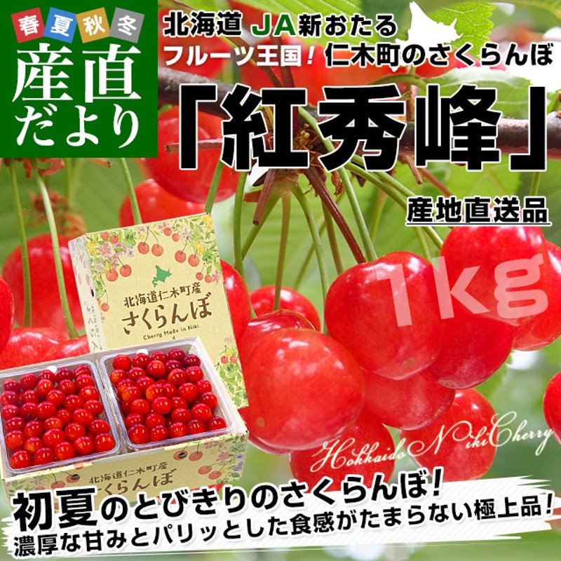 北海道から産地直送 JA新おたる 仁木町のさくらんぼ（紅秀峰） 秀品 2L