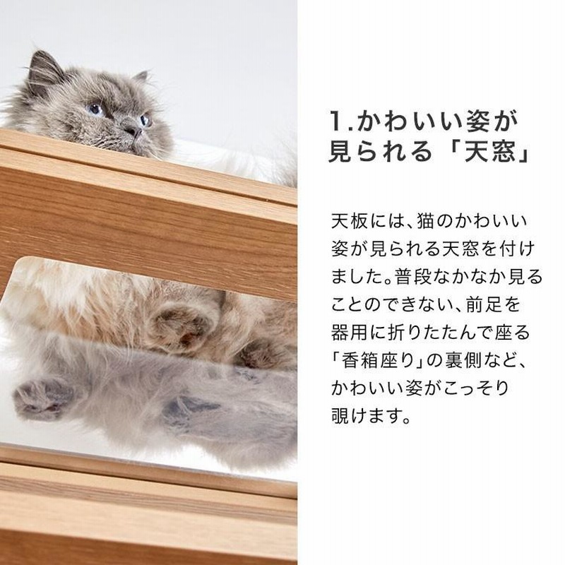 三重の猫が木の猫棚に登って、猫用品をつかむ。
