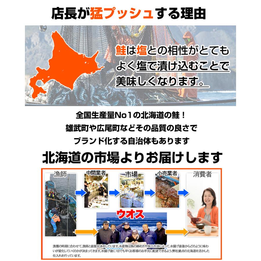 塩漬け 新巻鮭 北海道産 10kg6尾 塩鮭 塩引き鮭 鮭 秋鮭 しゃけ サケ さけ 産地直送 1本 水産仕入れ 年末年始 お正月 お歳暮