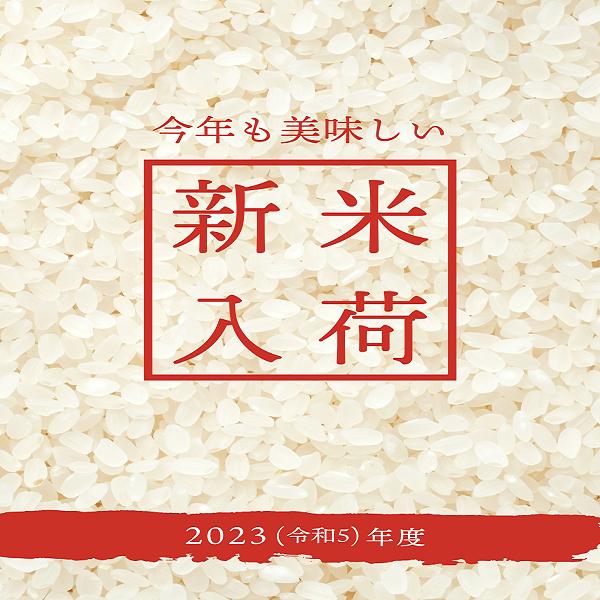 新米北海道産　玄米ゆめぴりか10kg3袋　1等米　令和5年産　送料無料