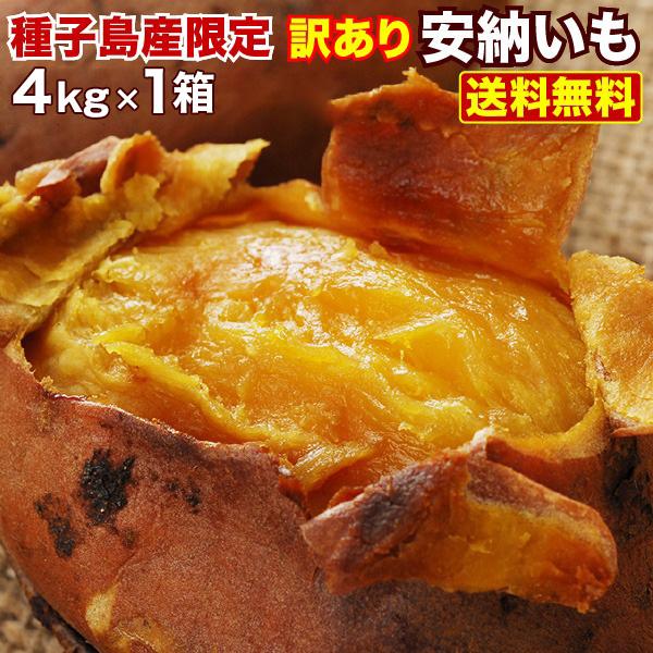 早期予約開始 安納芋 訳あり 種子島産 安納いも 蜜芋 S〜Lサイズ混合 4kg 送料無料 生芋 さつまいも  グルメ S常