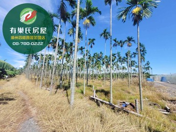 獨家專約｜潮州崁頂方正美農地出售｜屏東縣崁頂鄉頂孝段