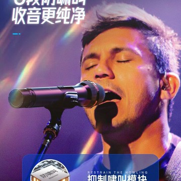 山水萬能無線話筒一拖二家用ktv專用k歌麥克風唱歌音響接收器通用【Snowbelle優選】