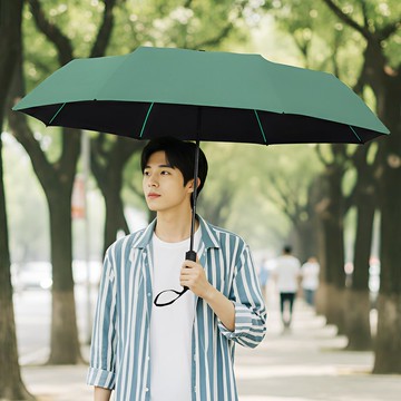 雙龍TWINS冰風雙骨自動開收傘/超強防風自動傘雨傘折傘B6580L