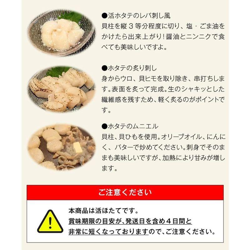 食の達人 活ほたて貝 3kg 青森県産 15?21枚程度 帆立 ほたて ホタテ ほたて活貝 貝柱 青森県漁業協同組合連合会