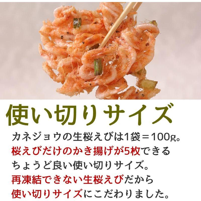 食品 兼上 生桜えび 100g×5袋セット 駿河湾産 由比 静岡 冷凍 さくらえび サクラエビ カネジョウ