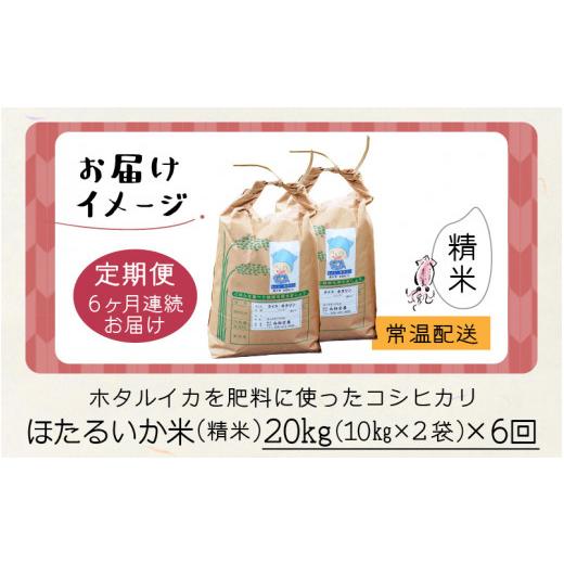 ふるさと納税 富山県 滑川市 ほたるいか米（精米20kg）×6回 計120kg