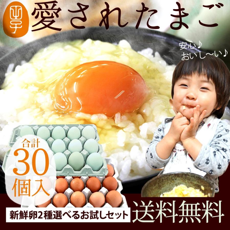 卵 新鮮たまご2種選べるお試しセット〔生卵合計30個入(生卵25個 破損保証5個)〕 玉子 高級 卵かけご飯