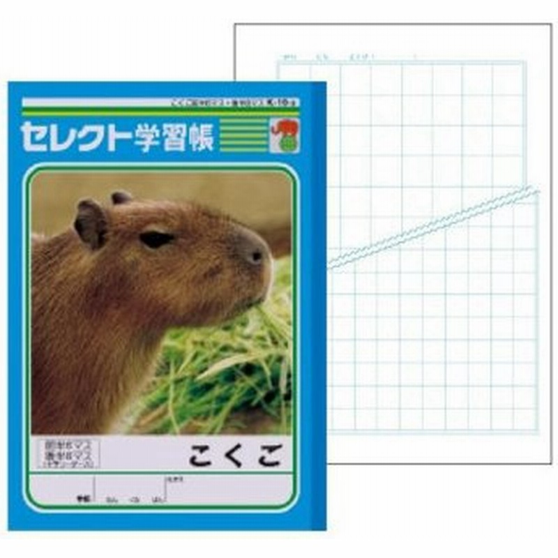 文運堂 セレクト学習帳 教科ノート B5 こくご 前半6マス 35mm方眼 後半8マス 26mm方眼 10冊セット K 10 3 通販 Lineポイント最大0 5 Get Lineショッピング