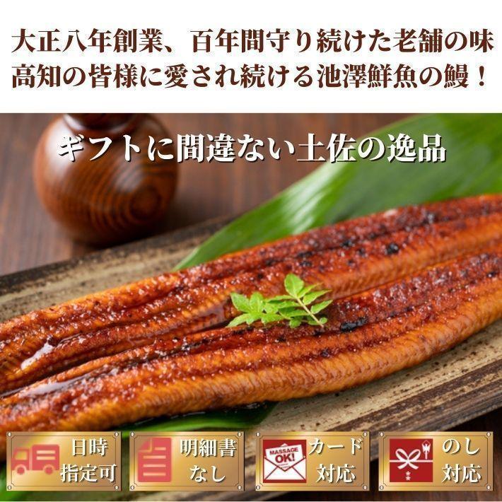 高知県産 うなぎ 蒲焼き 国産 特大200g×3尾 無投薬 仁淀川 誕生日 ギフト 贈答