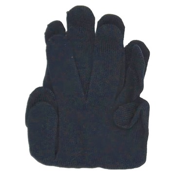 AMBROGIO SANELLI 山里尼 防凍手套 L號 歐洲產 Brinix M1TH材質  黑色  1雙