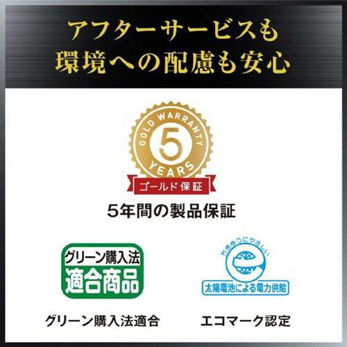 カシオ　本格実務電卓　日数＆時間計算　１２桁　ジャストタイプ　ＪＳ−２０ＤＣ−Ｎ　１台