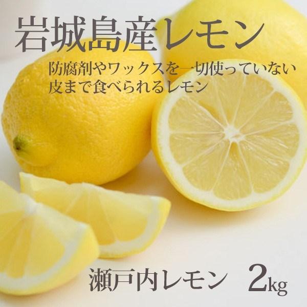 国産 レモン 整品 2kg 生レモン 瀬戸内産 防腐剤なし 皮まで食べられる 一部地域 送料無料 1-3営業日以内発送予定