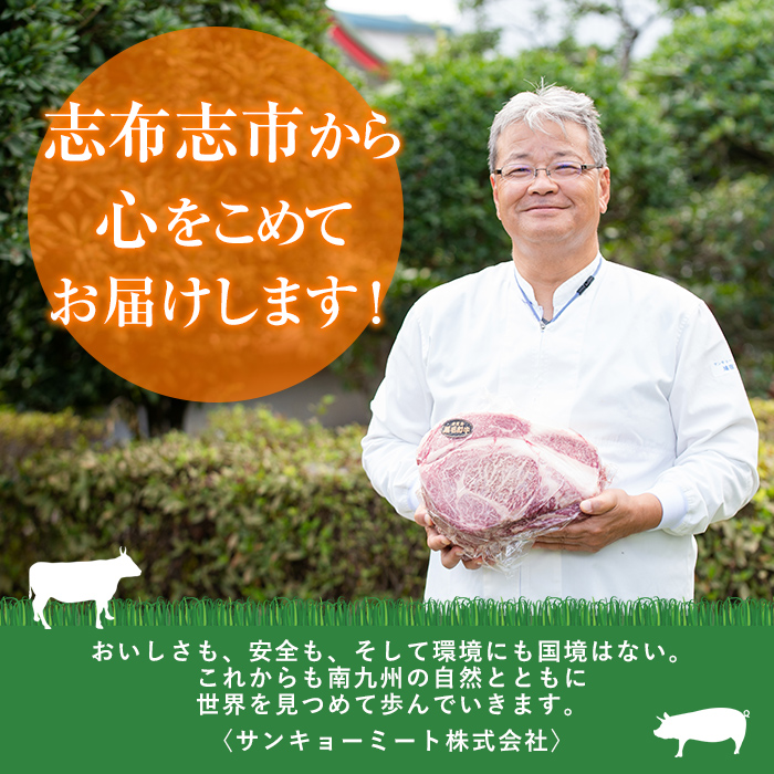 国産黒毛和牛と九州産豚肉の食卓お助けゴーゴー定期便 計5.55kg t004-011