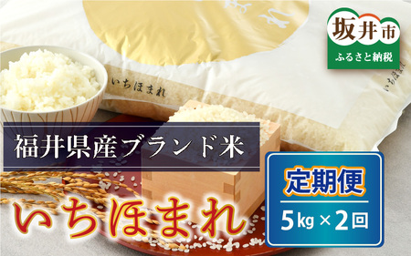 さんさん池見二代目がお届けする 福井県産いちほまれ 5kg × 2回 計10kg（7分づき） [B-0210_02]