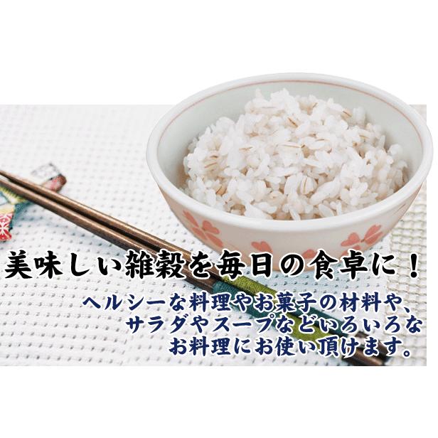 ポイント15倍 国内産もち麦 計1kg(500g×2袋) 100％国内産もち麦(大麦)使用 (メール便 送料無料)(SL)