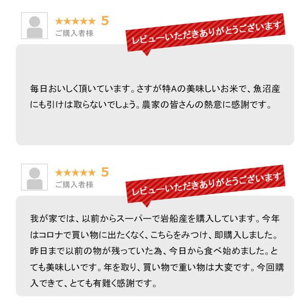 細山商店 岩船産コシヒカリ 5kg 令和3年産