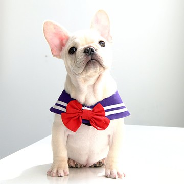 【大紅大紫限定優惠】寵物三種穿搭水手領--大紫