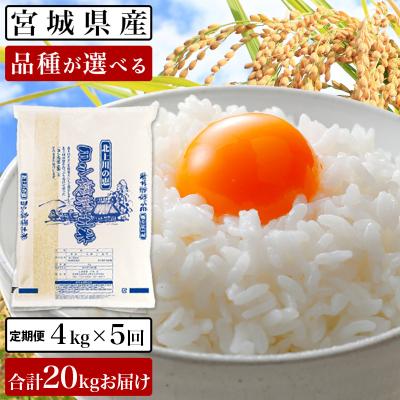 ふるさと納税 石巻市 令和5年産ヨシ腐葉土米 精米20kg(4kg×5回発送)ササニシキ