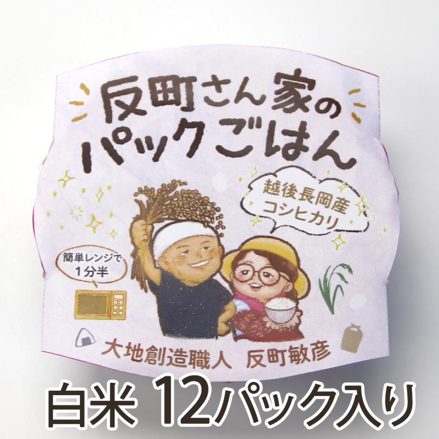 パックごはん 白米 12パック入り 大地創造職人 反町敏彦 送料無料