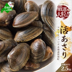 大粒天然あさり 2.5kg(70～130粒) 砂出し済みですぐ食べられる!