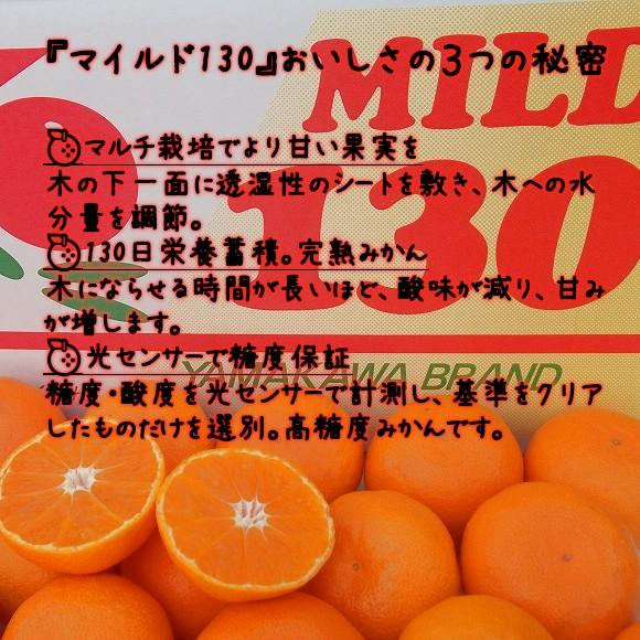 福岡産みかん 山川マイルド130 　約2kg（ギフト 御歳暮 御祝 みかん ミカン）