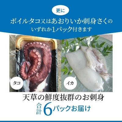 ふるさと納税 天草市 わくわく刺身セットプラス_S059-009A