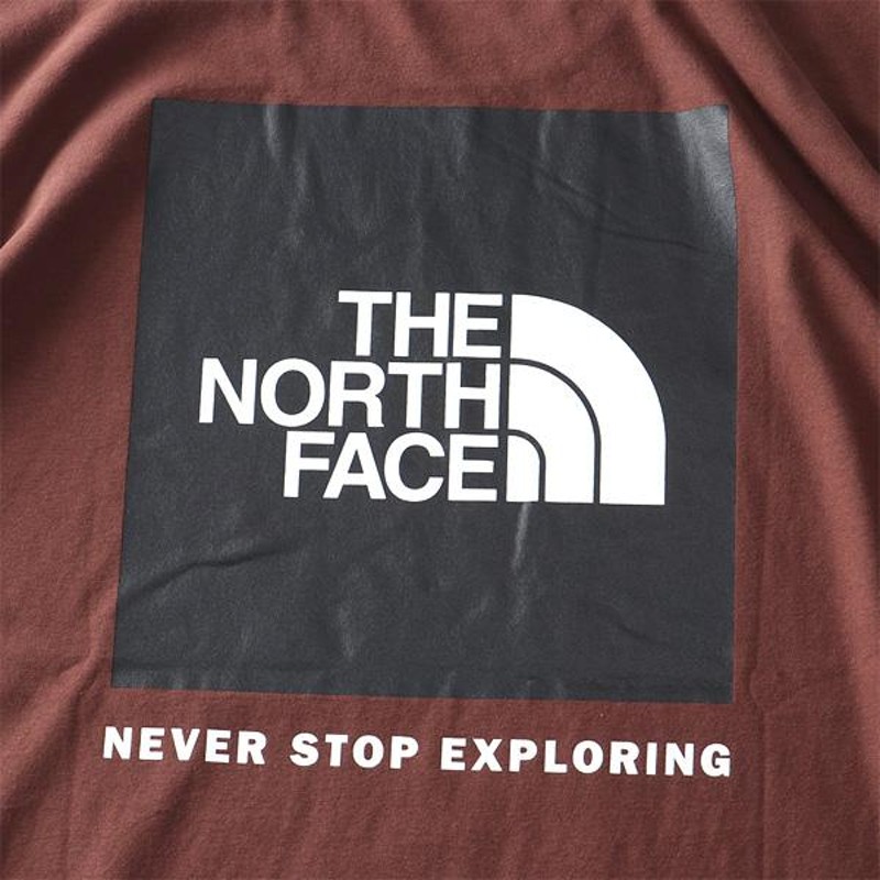 大きいサイズ メンズ THE NORTH FACE ノースフェイス ロンT 長袖 T