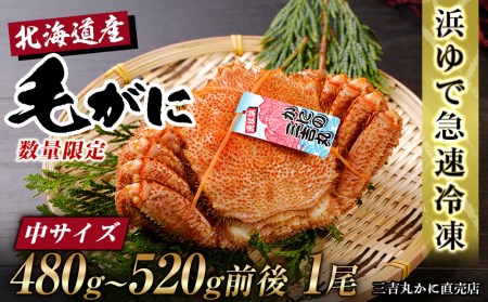 北海道産 冷凍ボイル毛ガニ (480g-520g前後) 1尾