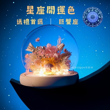 【快速出貨】十二星座燈飾花盅－巨蟹座 Cancer ｜生日快樂 祝福 粘粘&Hope花藝坊