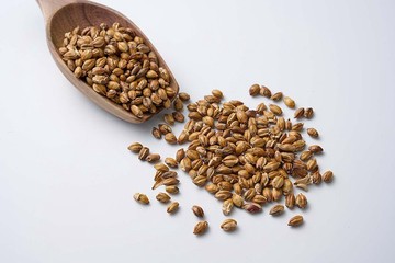 天然市集 | 焙炒黃金大麥 | DIY麥仔茶 無咖啡因 想喝麥茶自己煮