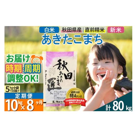 ふるさと納税 秋田県 仙北市 ＜新米＞ 《定期便8ヶ月》秋田県産 あきたこまち 10kg (5kg×2袋)×8回 令和5年産 時期選べる10キロ お米