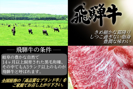 A5飛騨牛　四種盛り焼肉セット計1.2㎏