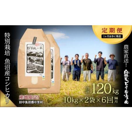 ふるさと納税 ≪令和5年産≫農家直送！魚沼産コシヒカリ特別栽培「白羽毛の米」精米(10kg×2.. 新潟県十日町市