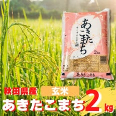 秋田県産　あきたこまち2kg (2kg×1袋)　 