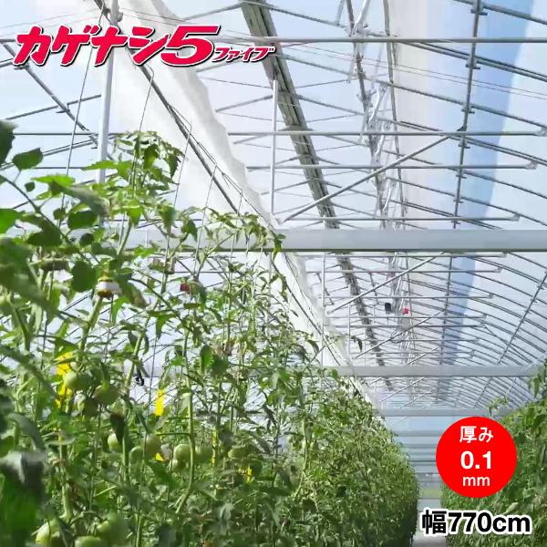 高機能農業用塗布型POフィルム　カゲナシ5　厚さ0.1mm×幅770cm　ご希望の長さ(m)を数量で入力してください