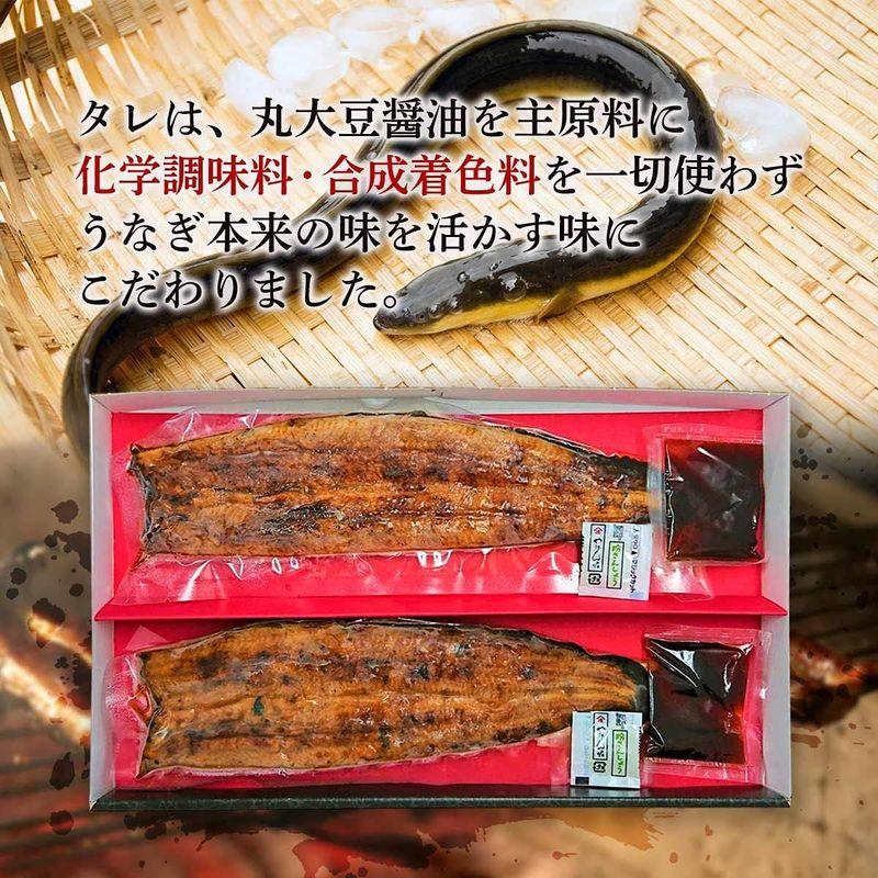 福岡養鰻 うなぎ 手焼き 炭火 九州産 うなぎ 蒲焼き 2尾