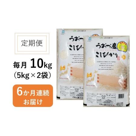 ふるさと納税 定期便 米 10kg (5kg×2袋) 6ヶ月 コシヒカリ 富山 魚津産 こめ コメ お米 おこめ 白米 精米 6回 お楽しみ 富山県魚津市