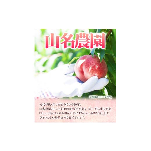 ふるさと納税 和歌山県 紀の川市 あら川の桃 約4kg 9-12玉 山名農園 《2024年6月下旬-9月中旬より順次出荷》 和歌山県 紀の川市 桃 もも モモ 白鳳 白桃 フル…