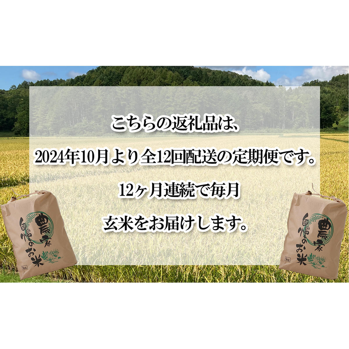 ＜ 予約 定期便 全12回 ＞ 北海道産 希少米 おぼろづき 玄米 計 10kg (5kg×2) ＜2024年10月より配送＞