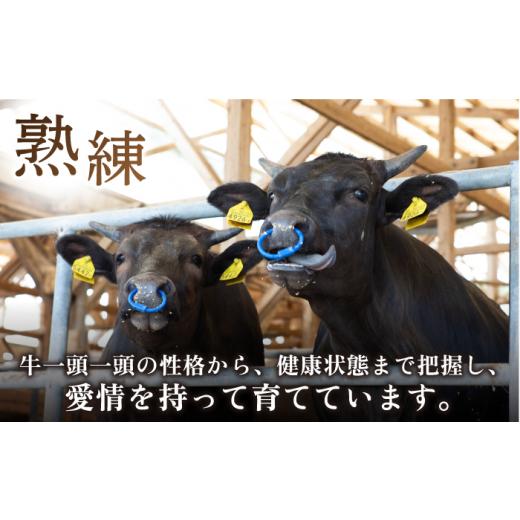 ふるさと納税 佐賀県 江北町 佐賀牛 焼肉セット 1kg [HAD148]