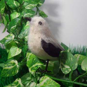 定做各種仿真動物 仿真小鳥 彩色羽毛動物 仿真鳥模型