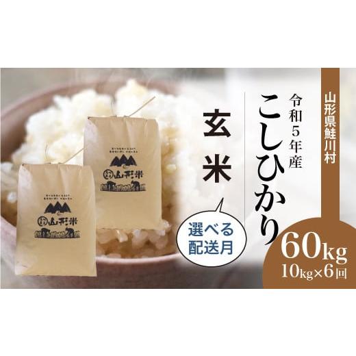 ふるさと納税 山形県 鮭川村 令和5年産　鮭川村　コシヒカリ60kg定期便（10kg×6回発送）